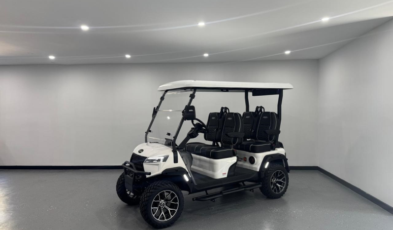 
								2025 Casarin ThunderX full									